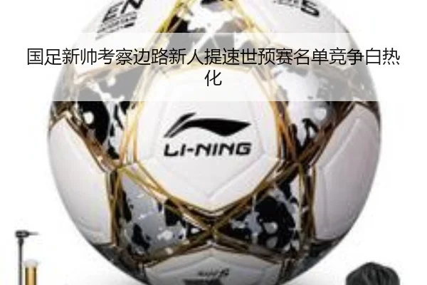 国足新帅考察边路新人提速世预赛名单竞争白热化（bob）